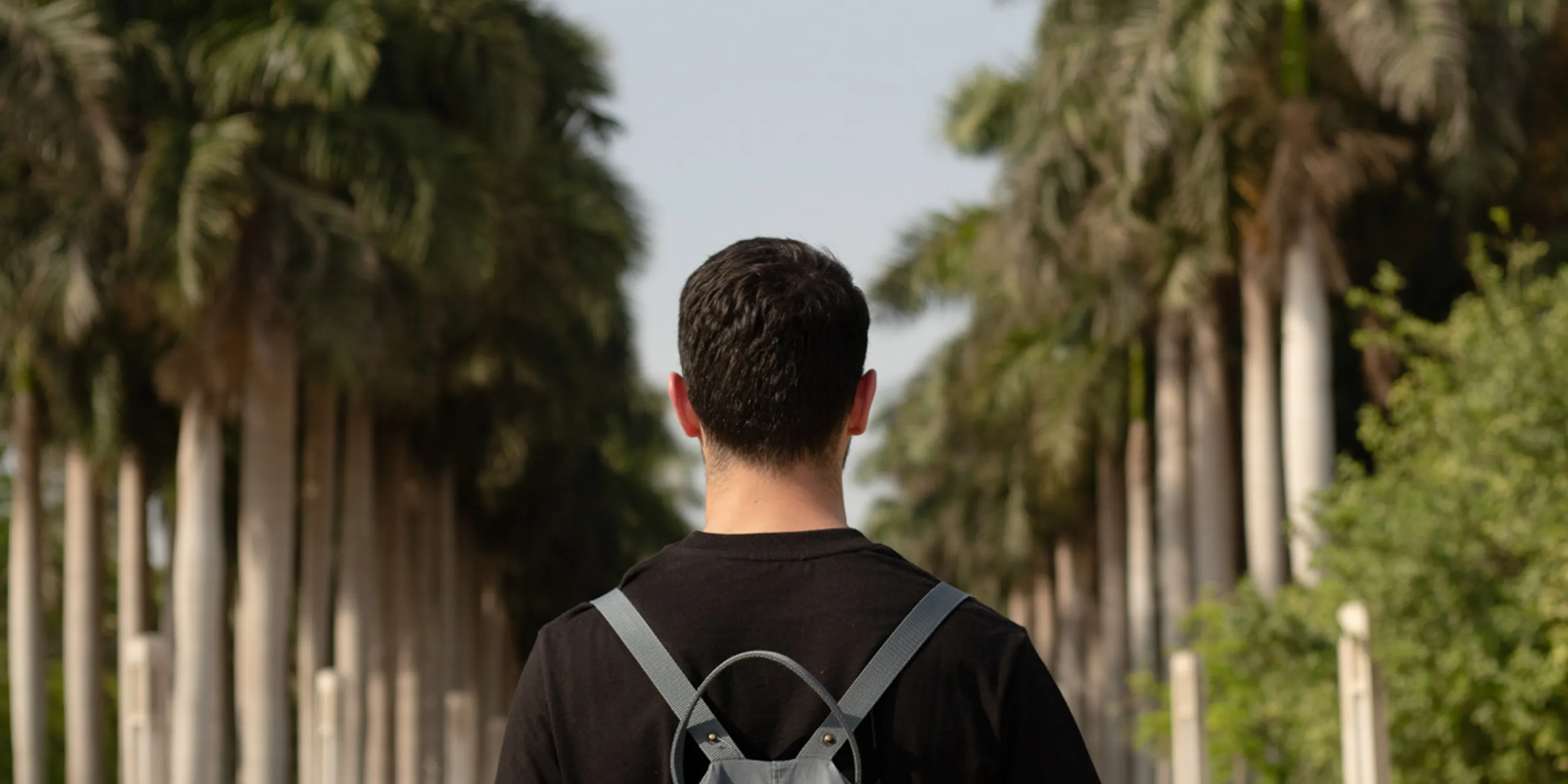 An image of a man with a backpack walking through a row of palm trees.